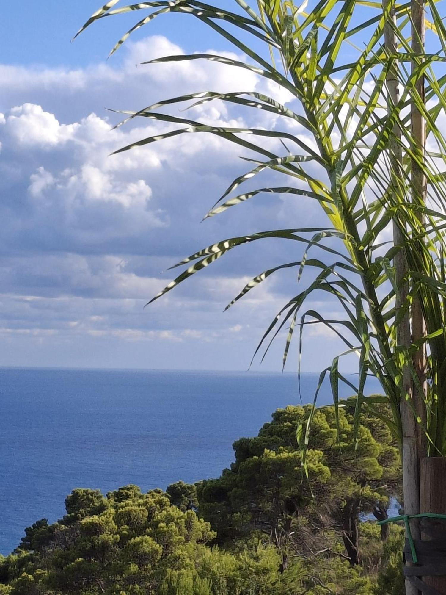 Tenuta Belvedere Cilento Montecorice Exterior photo